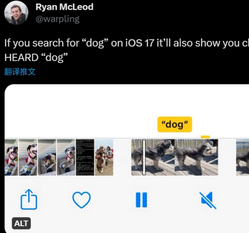樟木头镇apple维修店分享通过关键字搜索iPhone视频内声音 