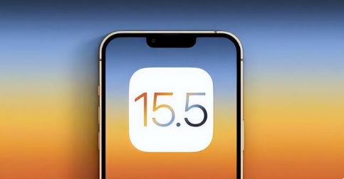 樟木头镇苹果手机维修分享iOS15.5 RC版升级建议 
